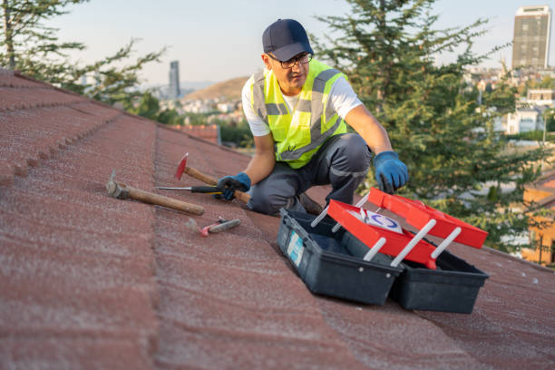 Best Siding Removal and Disposal  in Chippewa Falls, WI